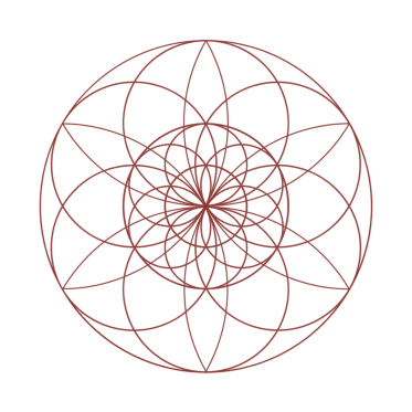 champ morphique hexagonal