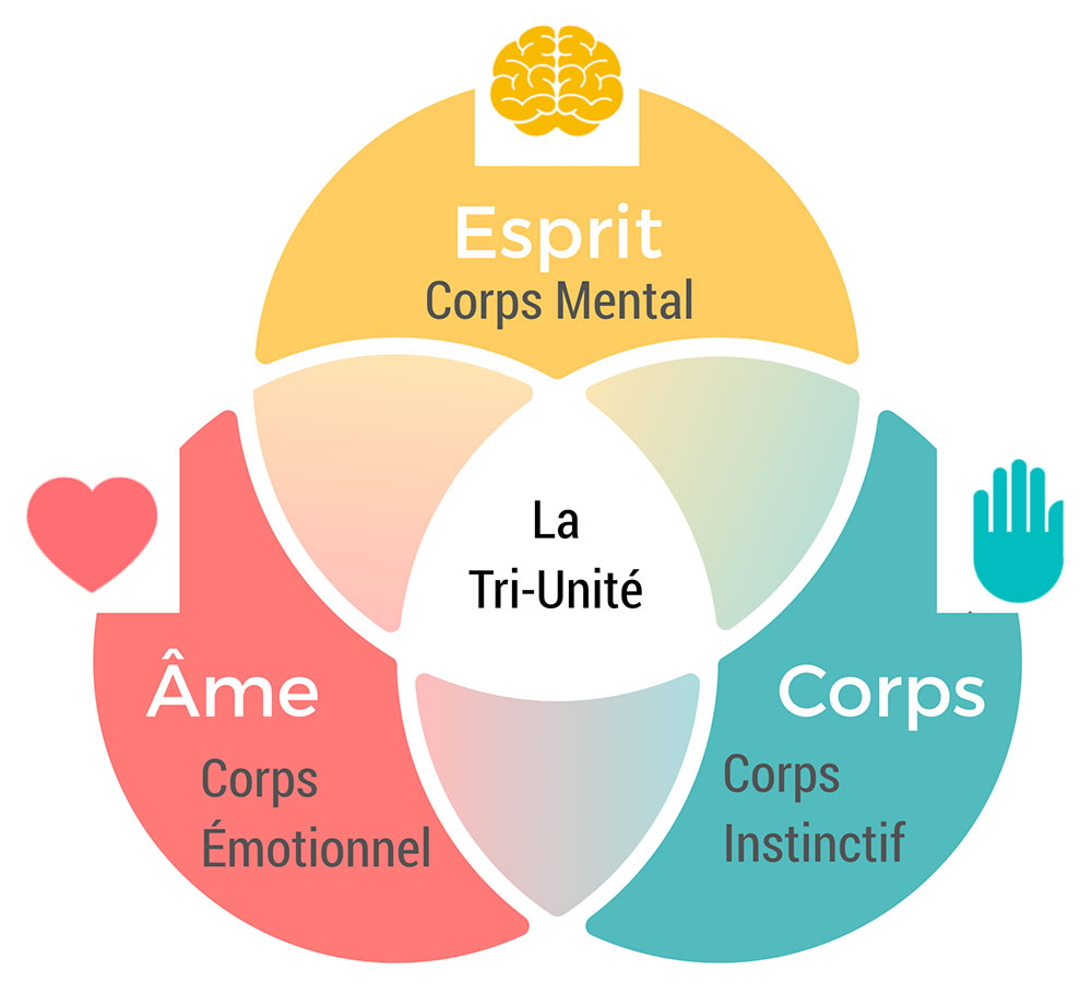 tri-unité humaine