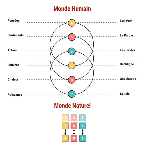 Connexion Directe Psychique → Physique