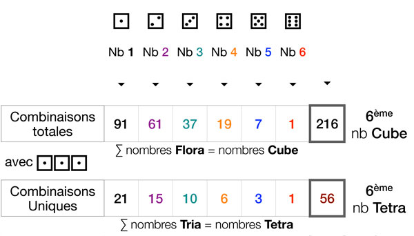 216 combinaisons → 56 uniques