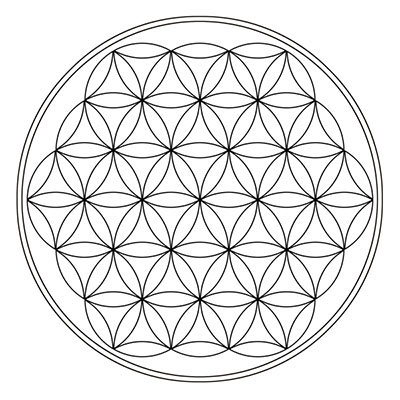 Formation progressive de la Fleur de Vie