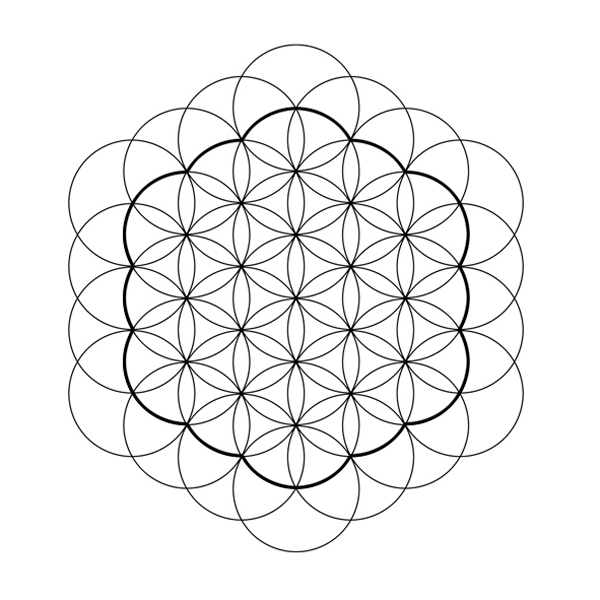 La Fleur de Vie : 37 cercles