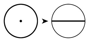 Évolution du Cercle Pointé vers le Diamètre