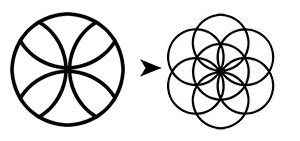 Évolution de la Croix Templière vers la Graine de Vie