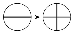 Évolution du Diamètre vers la Croix