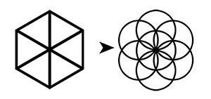 Évolution vers la Graine de Vie